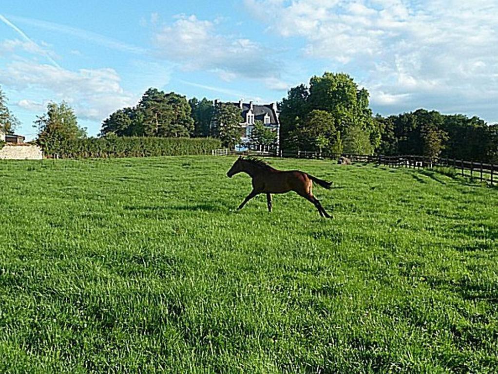 Chambres D'Hotes Du Haras De CoddesCercy-la-Tour エクステリア 写真